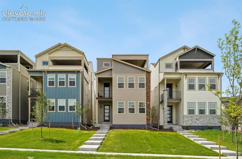 3089 Curly Grove