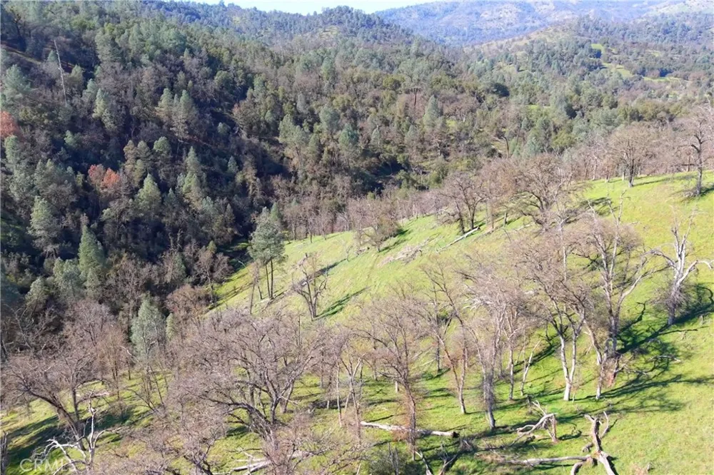 3729 Ben Hur Road Mariposa, CA 95338