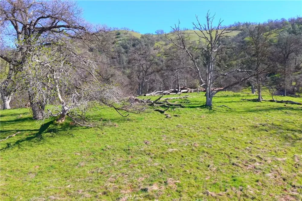 3729 Ben Hur Road Mariposa, CA 95338