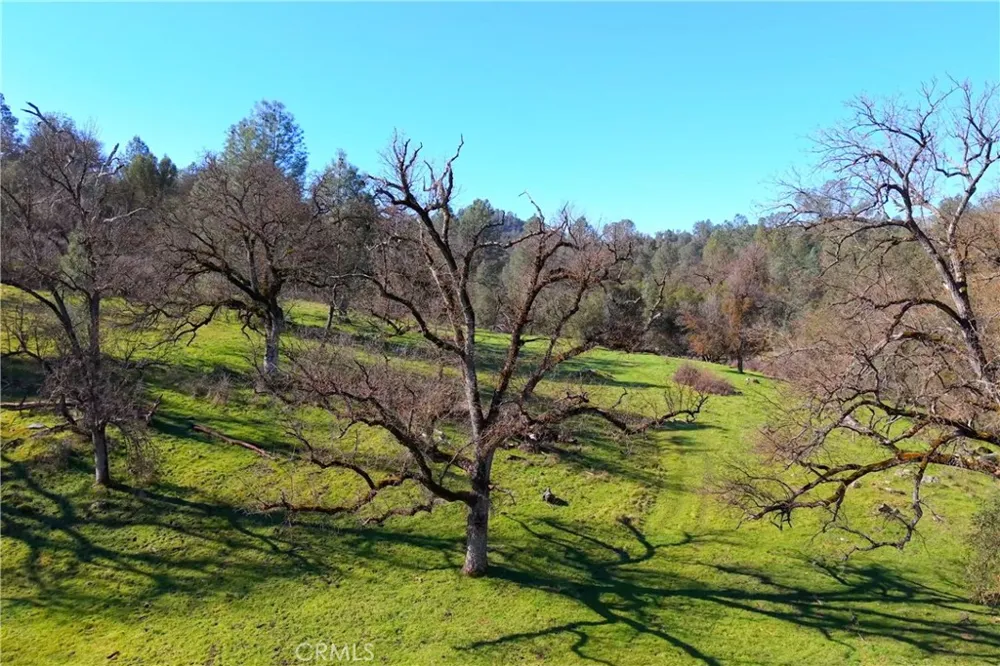 3729 Ben Hur Road Mariposa, CA 95338
