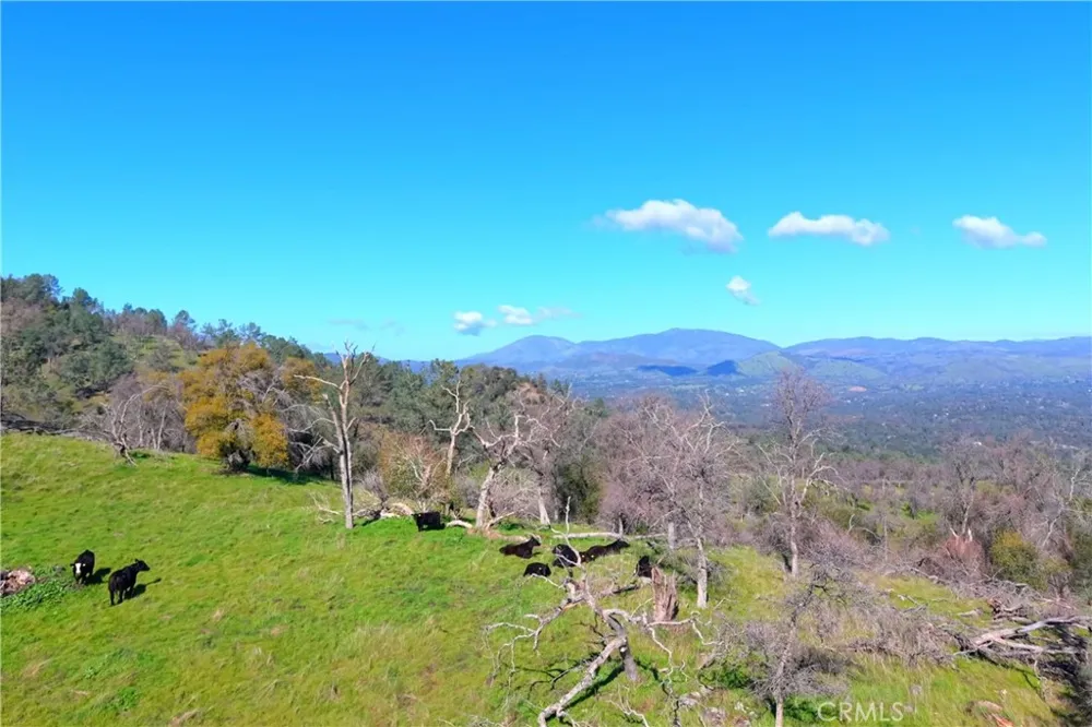3729 Ben Hur Road Mariposa, CA 95338