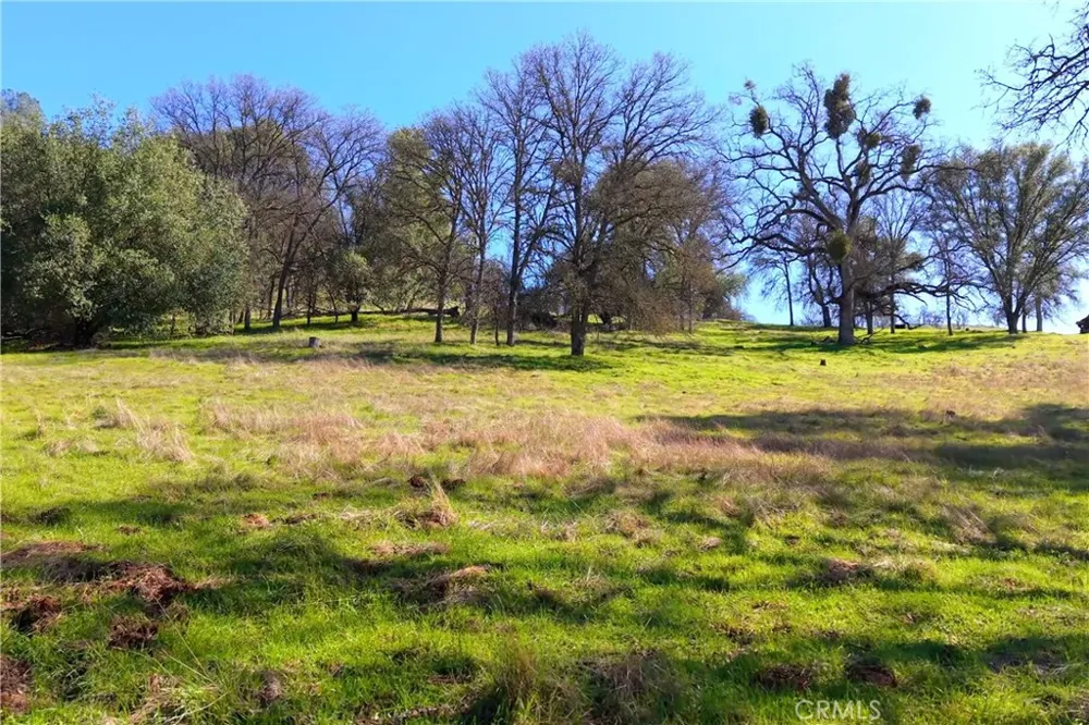 3729 Ben Hur Road Mariposa, CA 95338