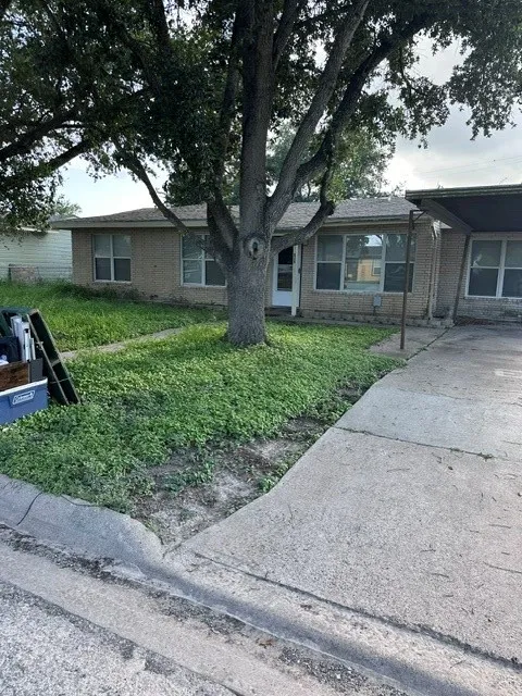529 Frances Street Kingsville, TX 78363