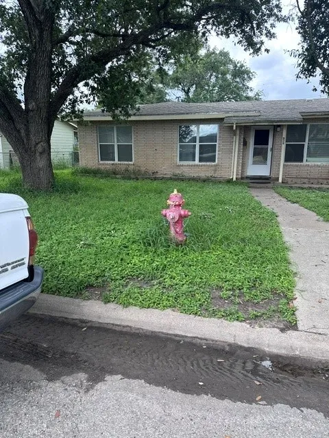 529 Frances Street Kingsville, TX 78363
