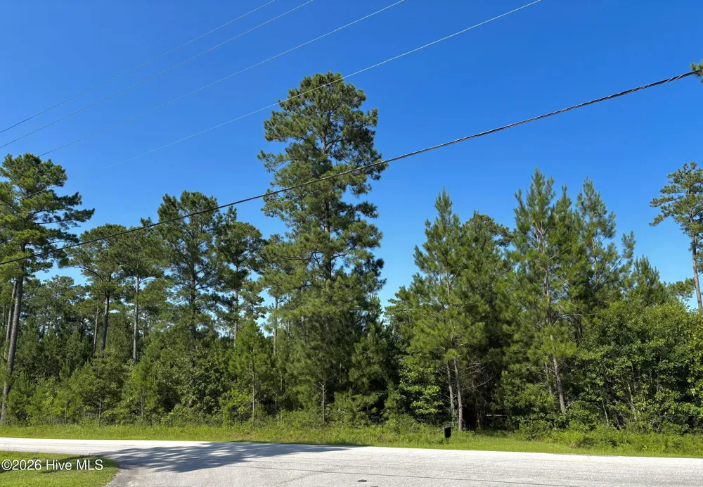 00 Lee Rogers Road Hubert, NC 28539