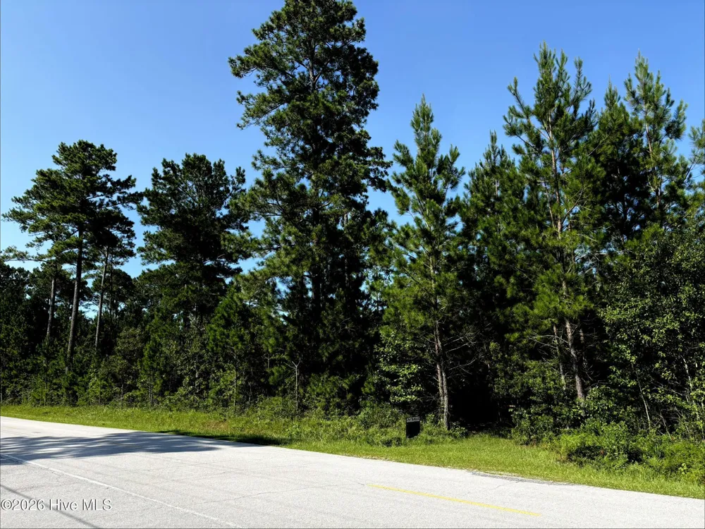 00 Lee Rogers Road Hubert, NC 28539