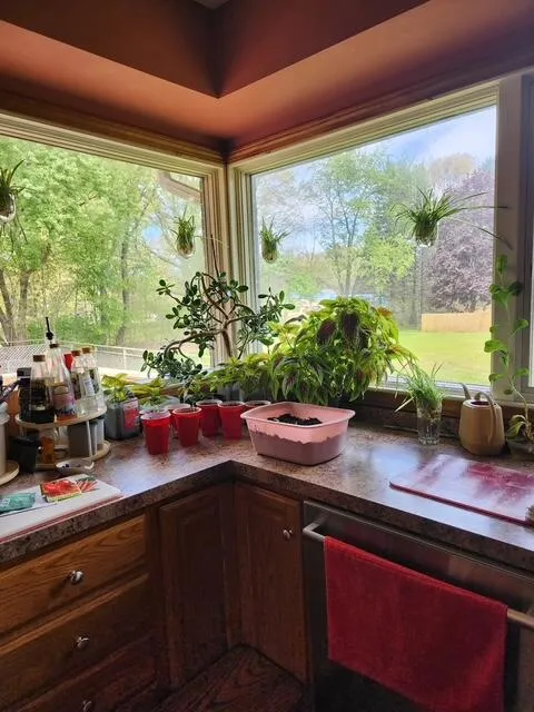 9552 Pine Street Bridgman, MI 49106