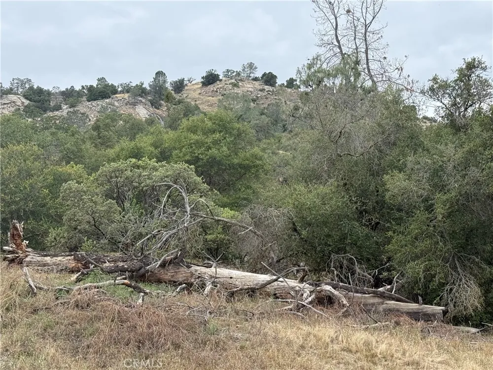 2112 North Dome Coarsegold, CA 93614
