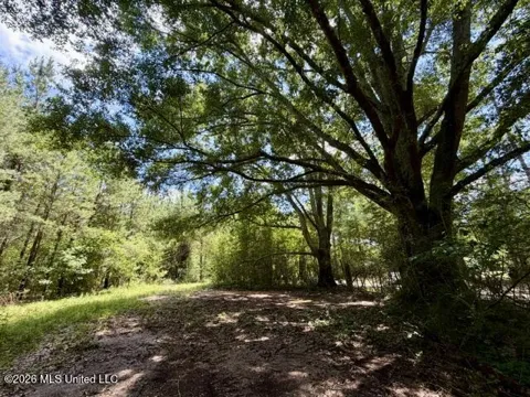 Vaniel Holmes Road