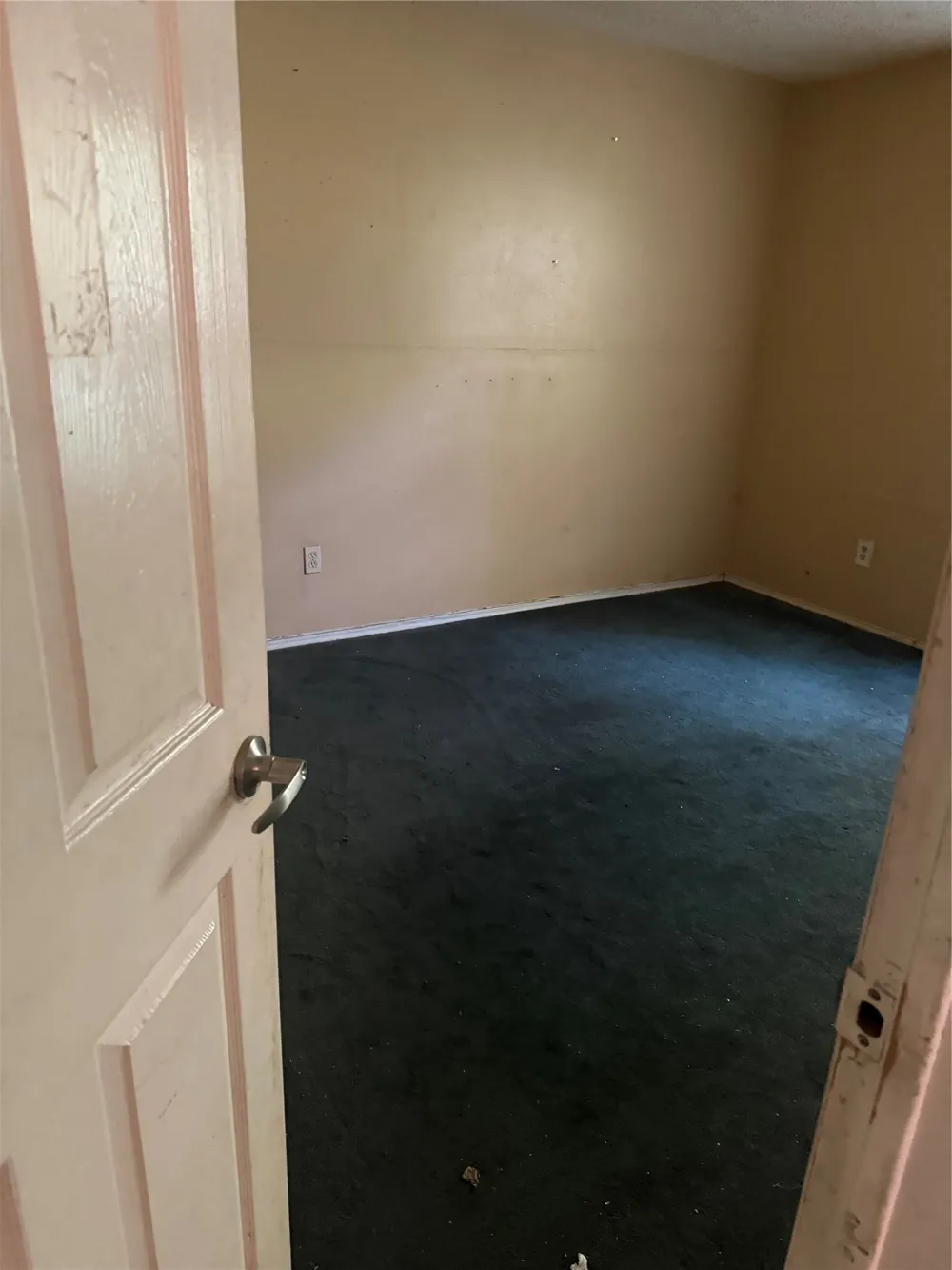 4621 Lake Park Drive The Colony, TX 75056