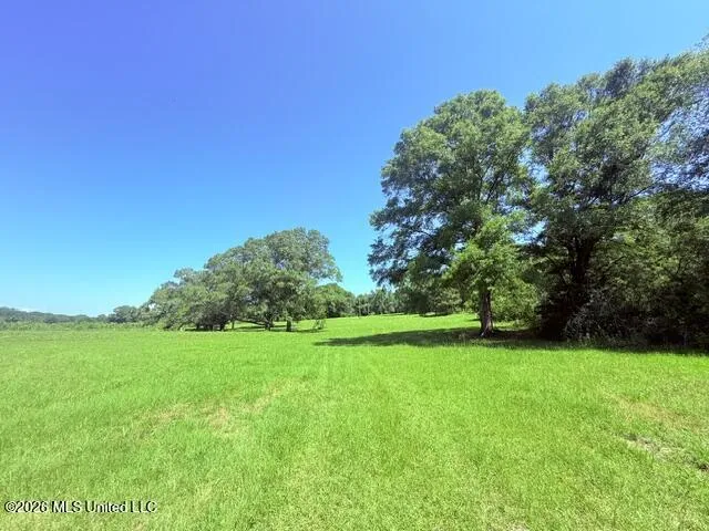 Union Church Road Magnolia, MS 39652