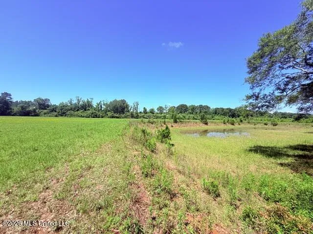 Union Church Road Magnolia, MS 39652