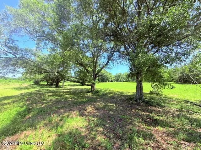 Union Church Road Magnolia, MS 39652