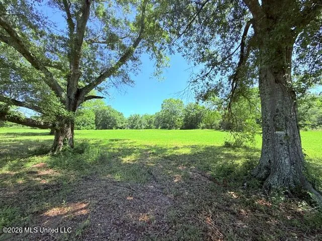 Union Church Road Magnolia, MS 39652