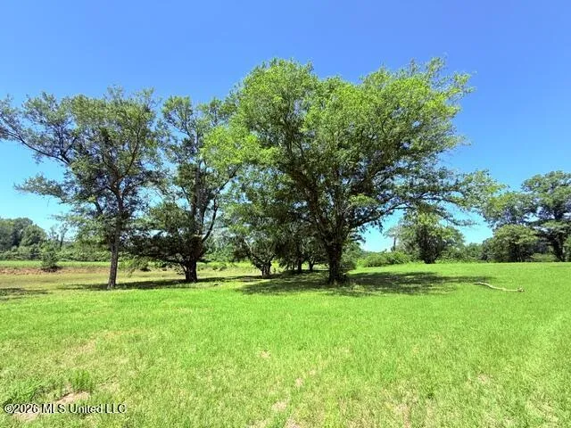 Union Church Road Magnolia, MS 39652