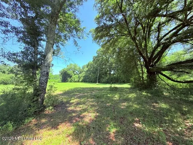 Union Church Road Magnolia, MS 39652