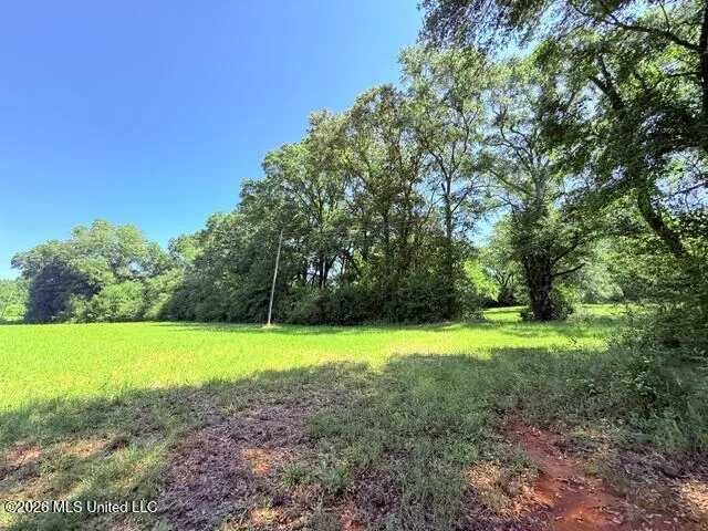 Union Church Road Magnolia, MS 39652