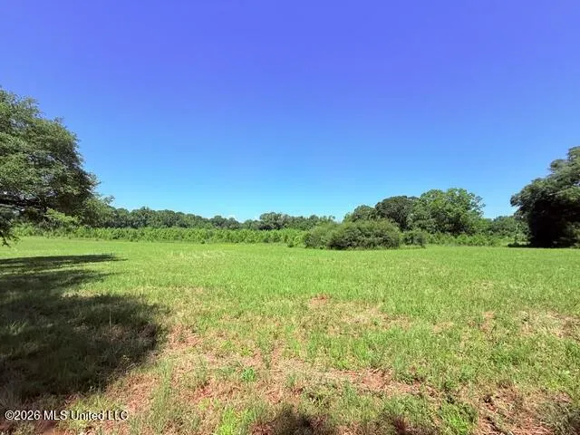 Union Church Road Magnolia, MS 39652