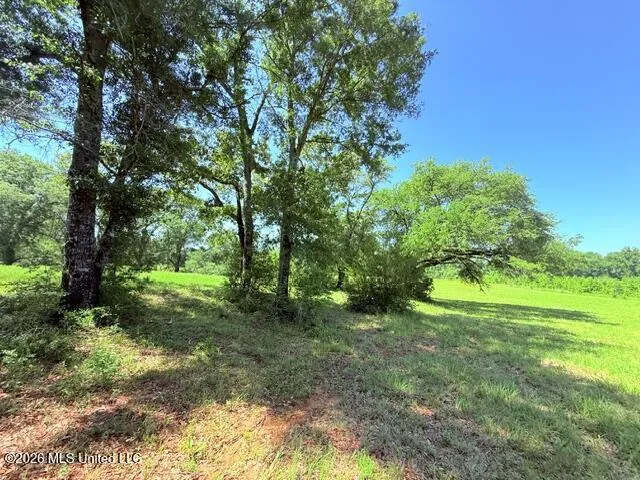 Union Church Road Magnolia, MS 39652