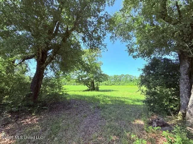 Union Church Road Magnolia, MS 39652