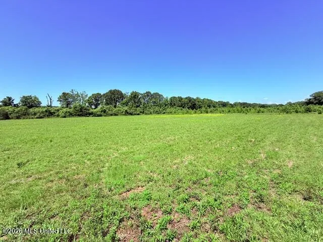 Union Church Road Magnolia, MS 39652