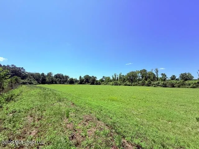 Union Church Road Magnolia, MS 39652