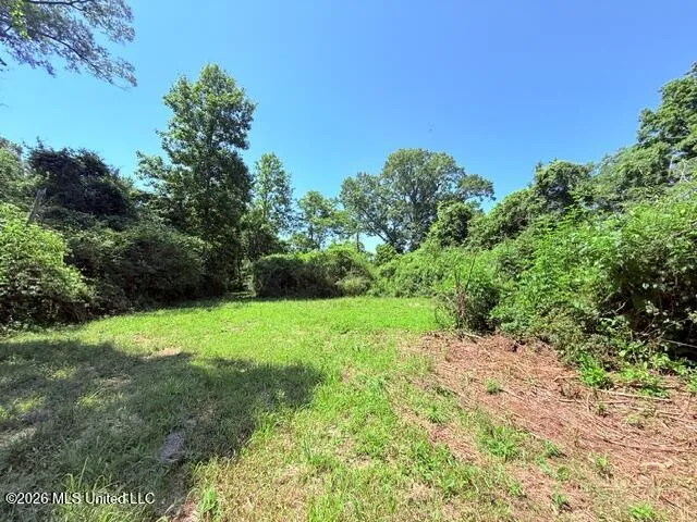 Union Church Road Magnolia, MS 39652