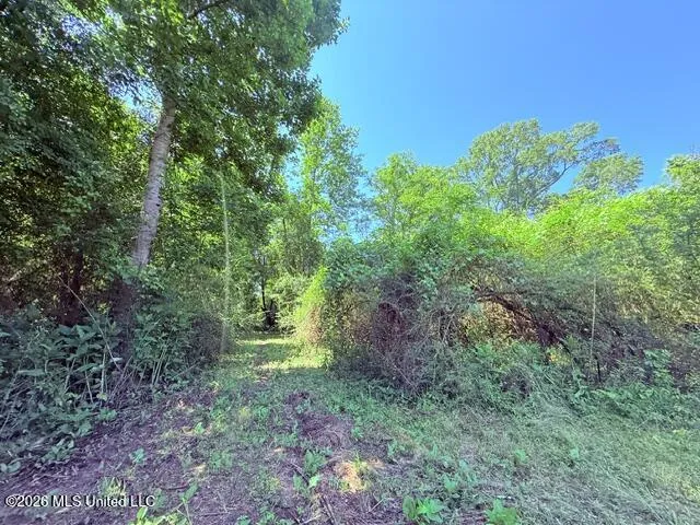 Union Church Road Magnolia, MS 39652