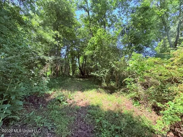 Union Church Road Magnolia, MS 39652