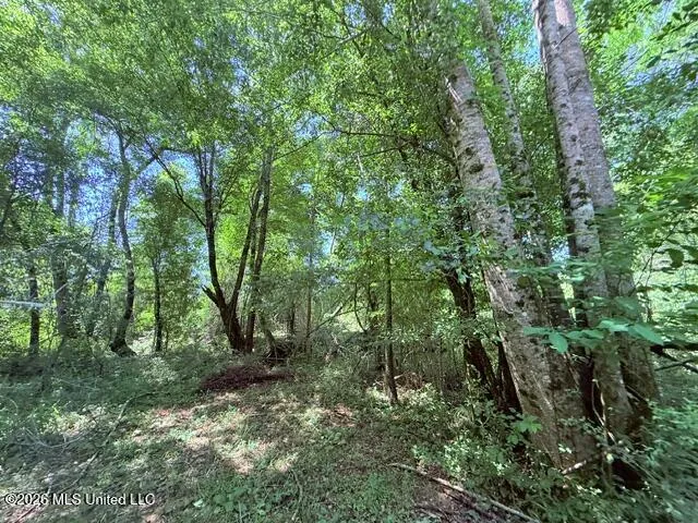 Union Church Road Magnolia, MS 39652