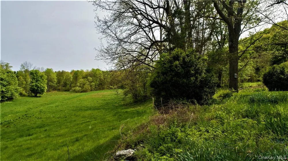 303 Hicks Hill Road Stanfordville, NY 12582
