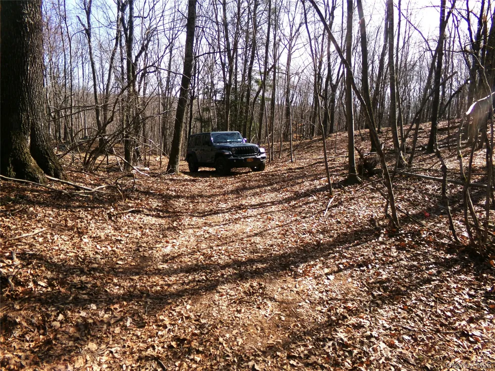 303 Hicks Hill Road Stanfordville, NY 12582