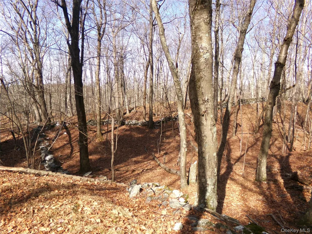 303 Hicks Hill Road Stanfordville, NY 12582