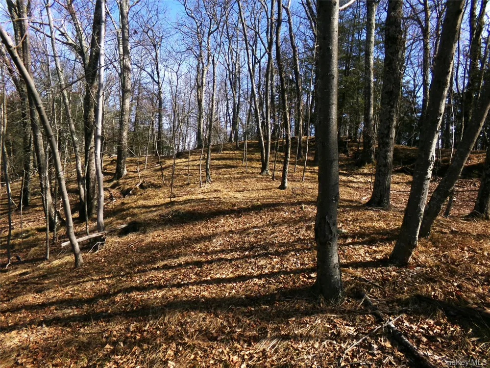 303 Hicks Hill Road Stanfordville, NY 12582