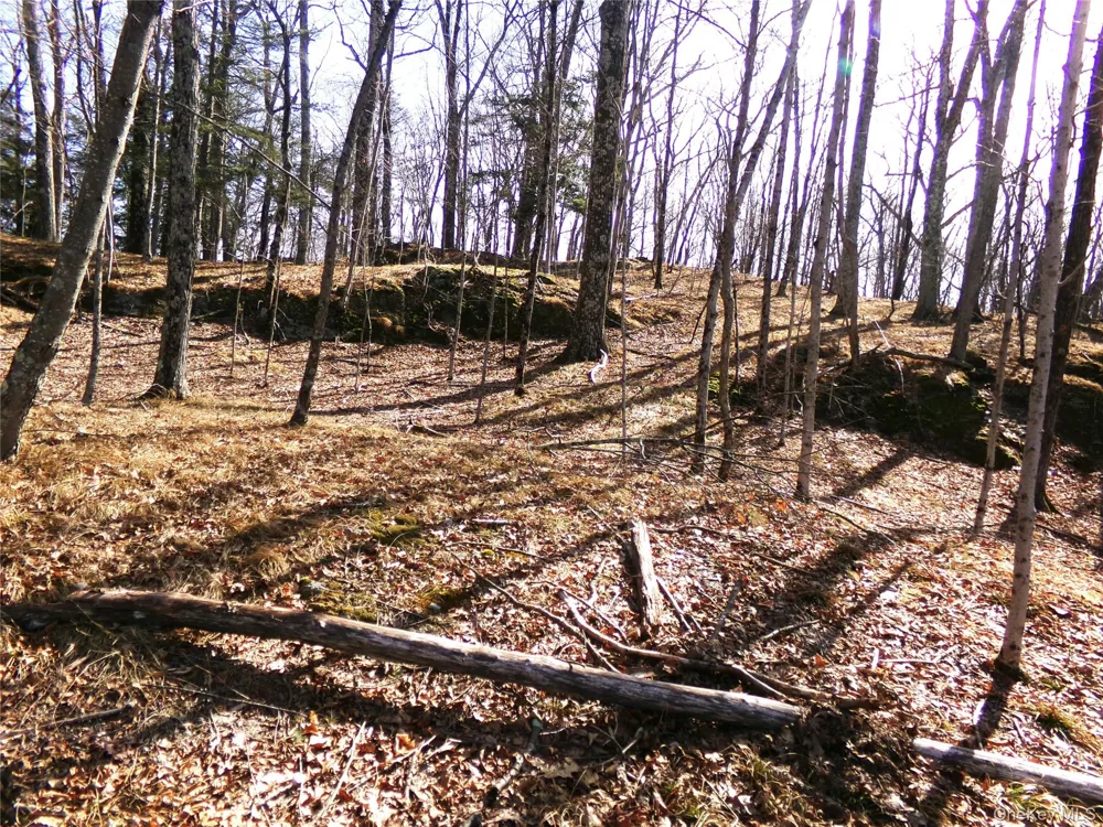 303 Hicks Hill Road Stanfordville, NY 12582