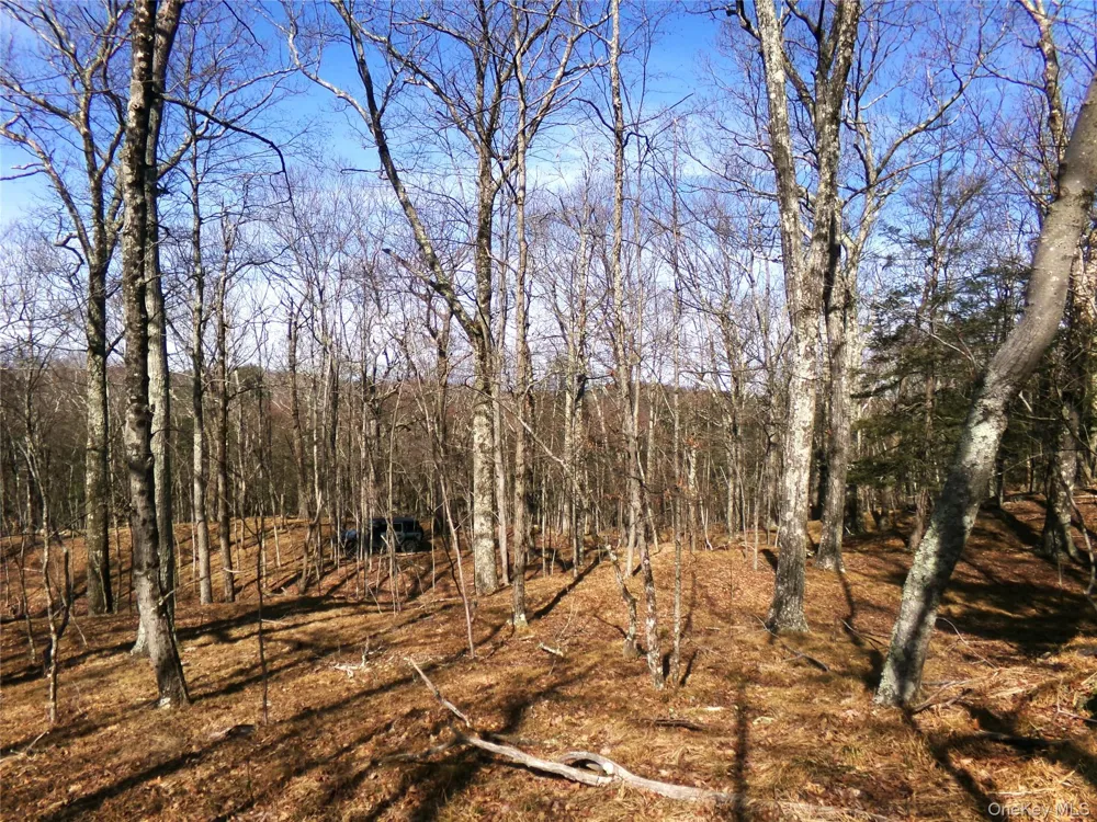 303 Hicks Hill Road Stanfordville, NY 12582