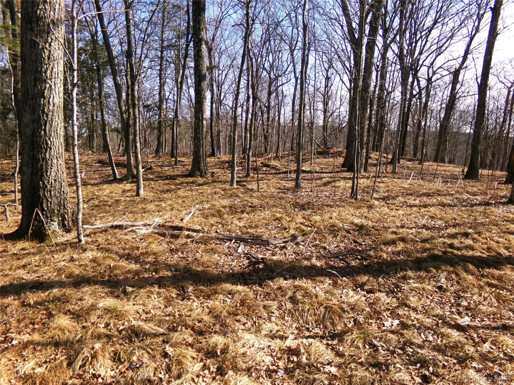 303 Hicks Hill Road Stanfordville, NY 12582