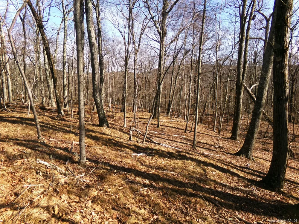 303 Hicks Hill Road Stanfordville, NY 12582