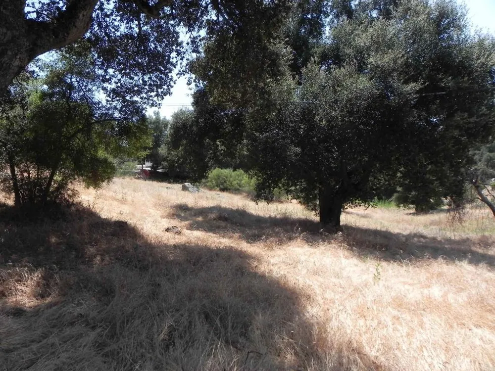 Arrowhead Trail Descanso, CA 91916
