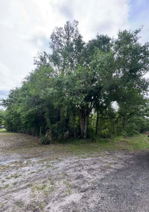 1249 SABLE PALM DRIVE