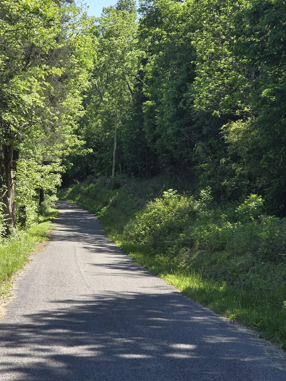 806 Brandon Hollow Lynchburg, TN 37352