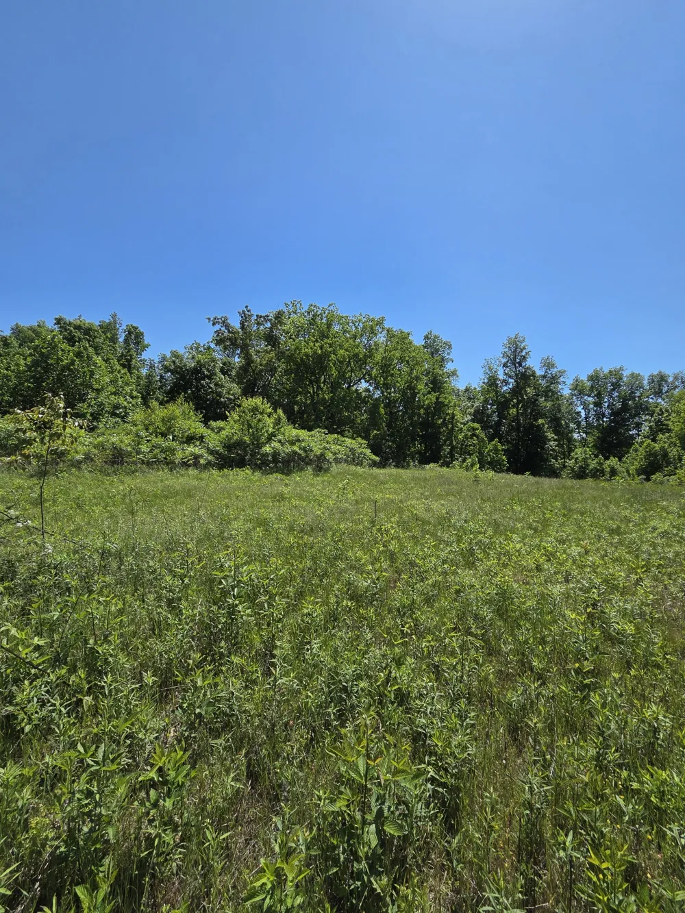 806 Brandon Hollow Lynchburg, TN 37352