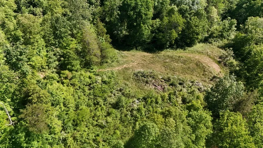 806 Brandon Hollow Lynchburg, TN 37352