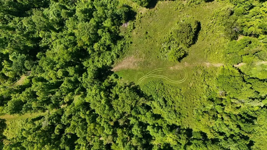 806 Brandon Hollow Lynchburg, TN 37352