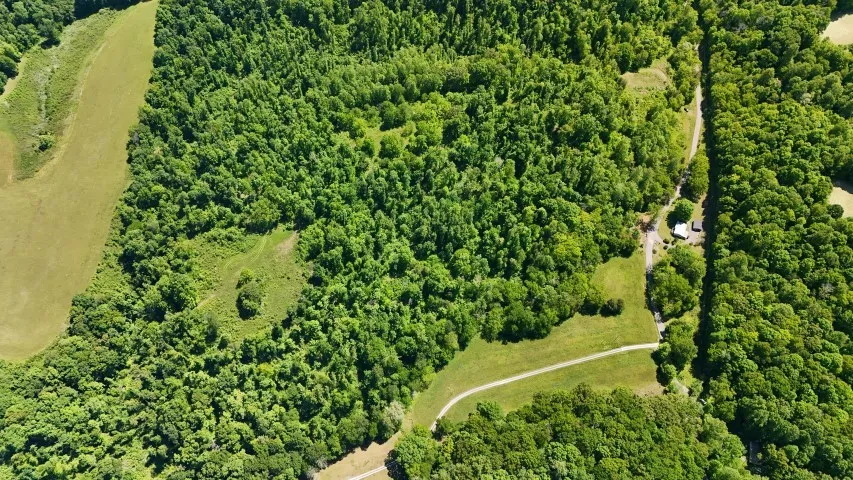 806 Brandon Hollow Lynchburg, TN 37352