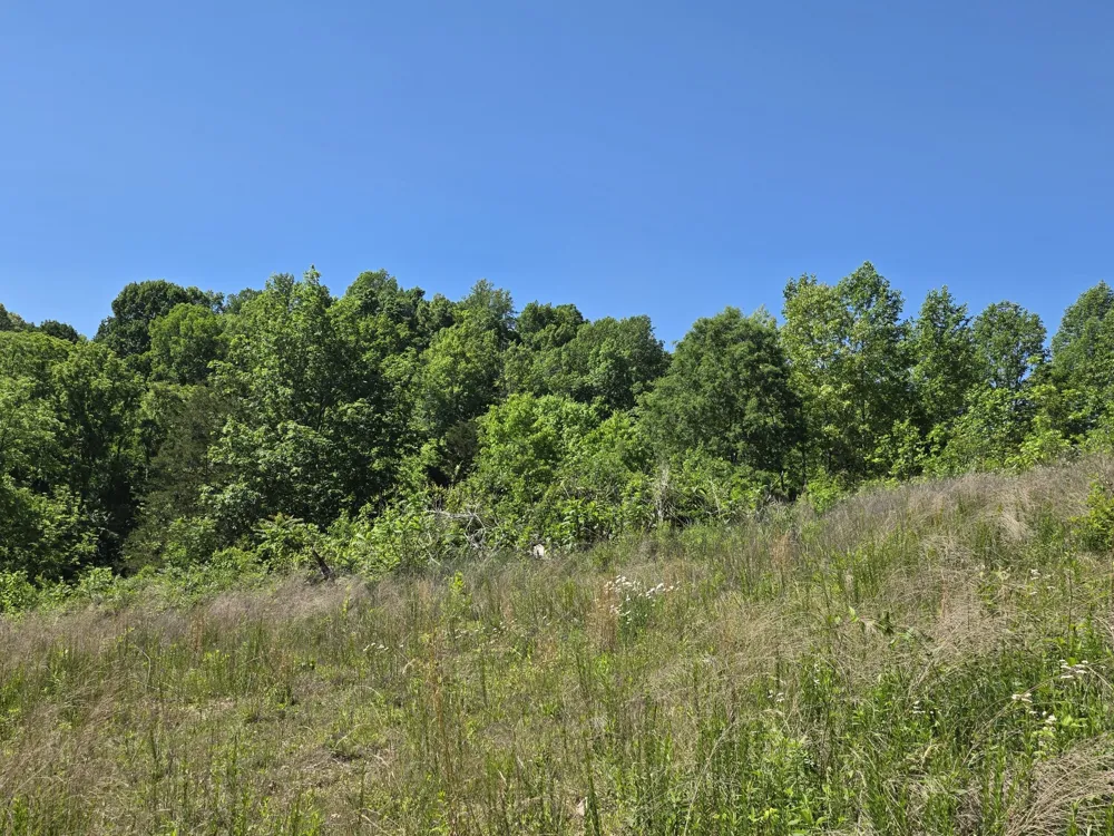 806 Brandon Hollow Lynchburg, TN 37352