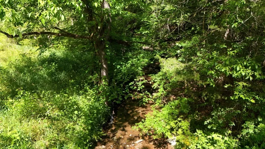 806 Brandon Hollow Lynchburg, TN 37352