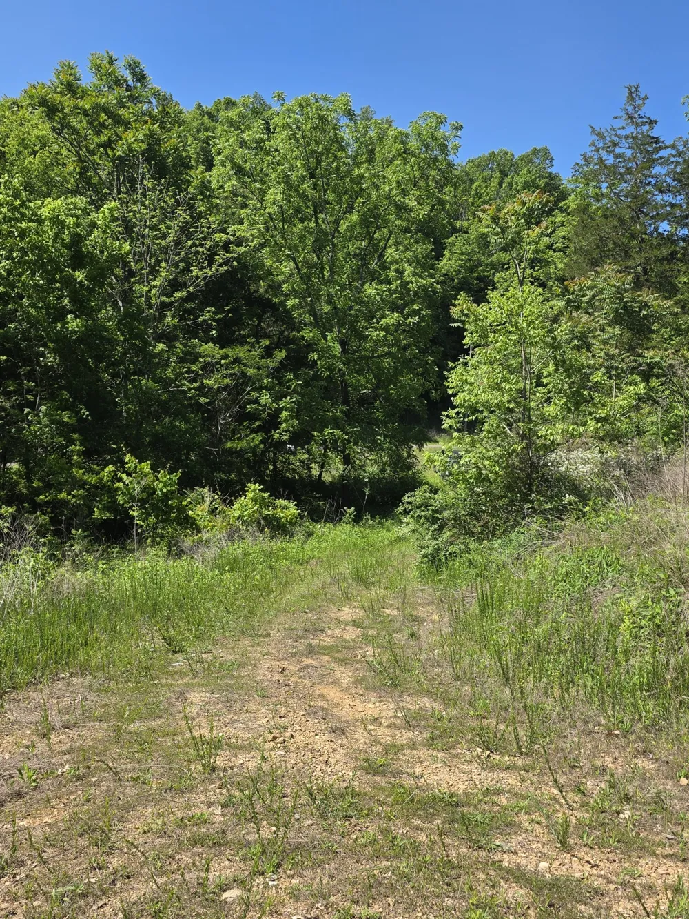 806 Brandon Hollow Lynchburg, TN 37352