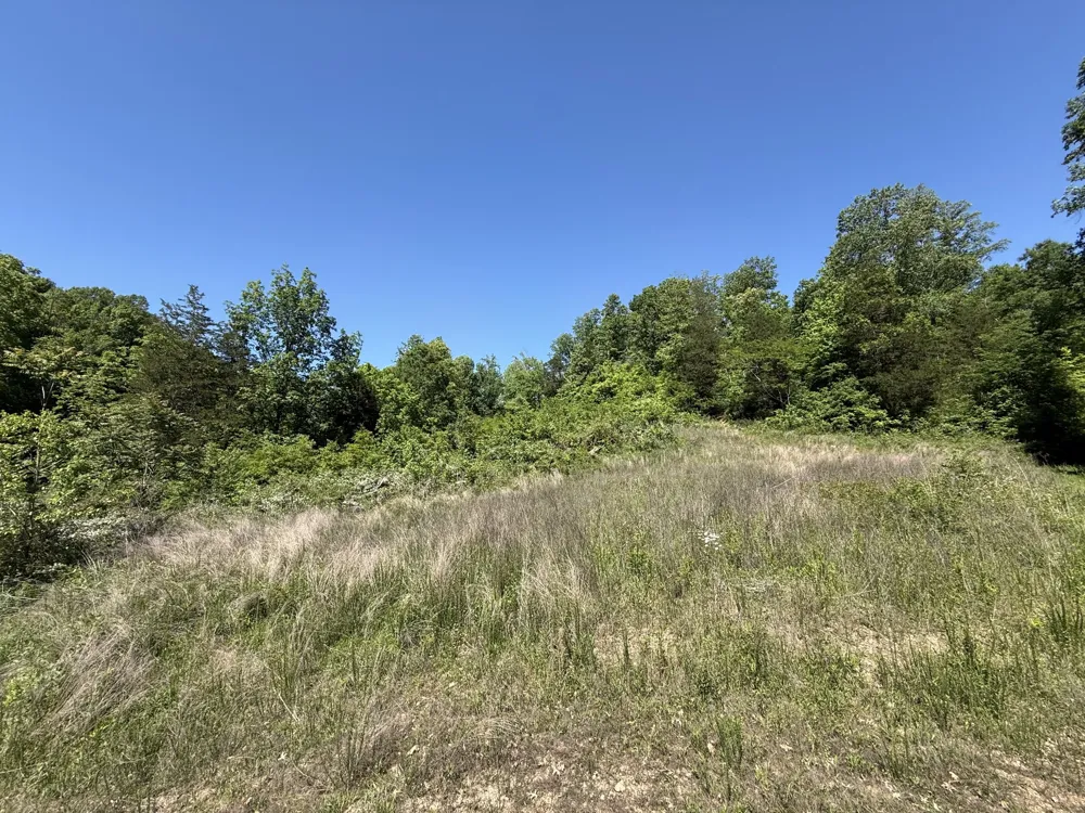 806 Brandon Hollow Lynchburg, TN 37352