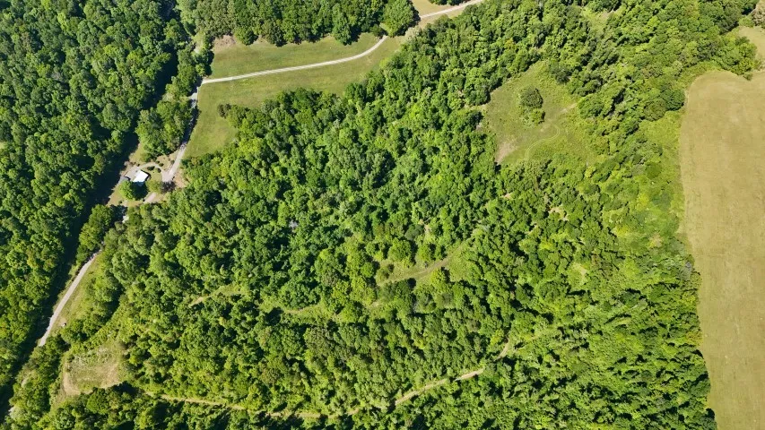 806 Brandon Hollow Lynchburg, TN 37352